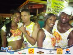 Bloco Skol Folia